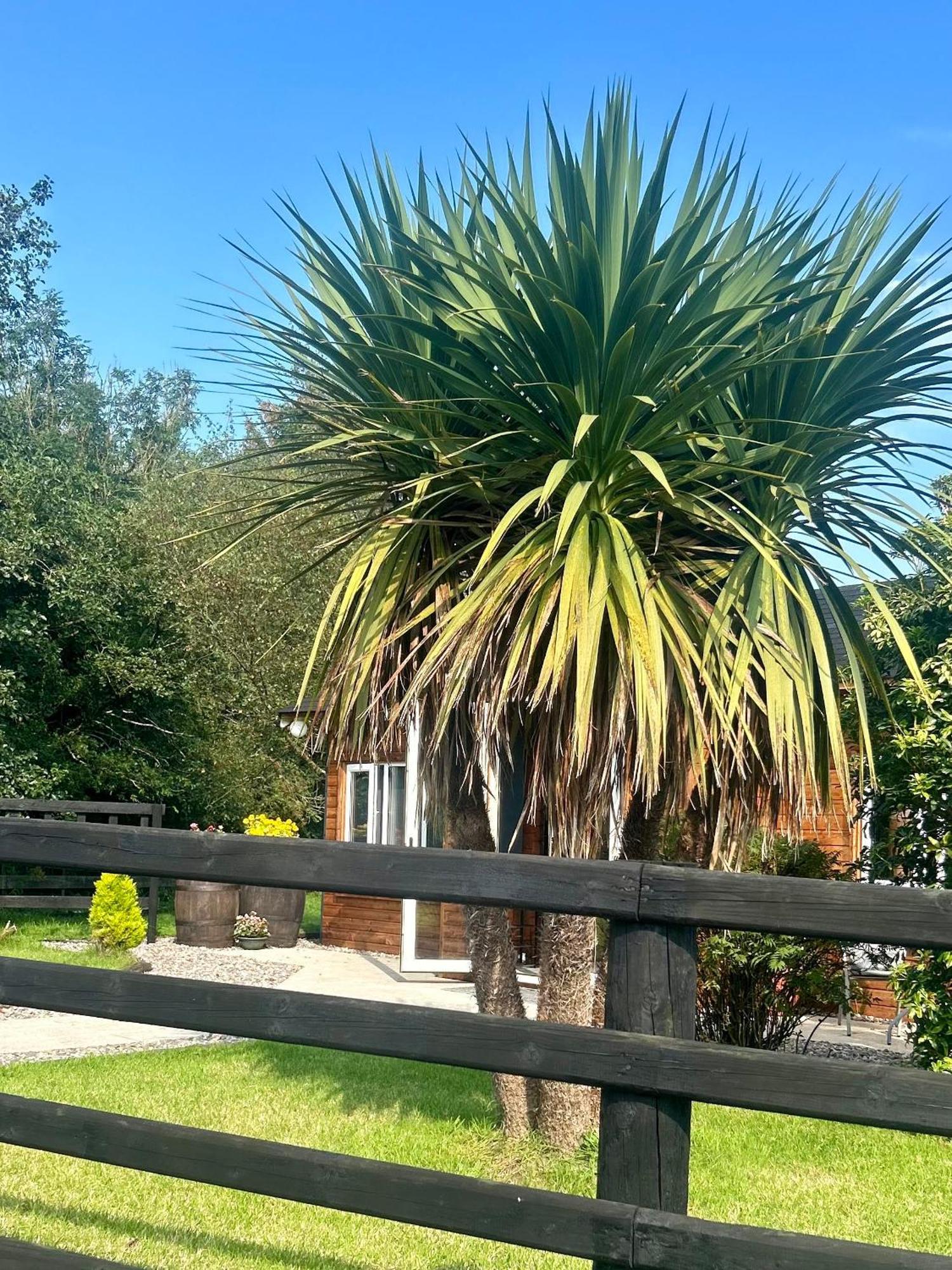 Holiday home Omagh *