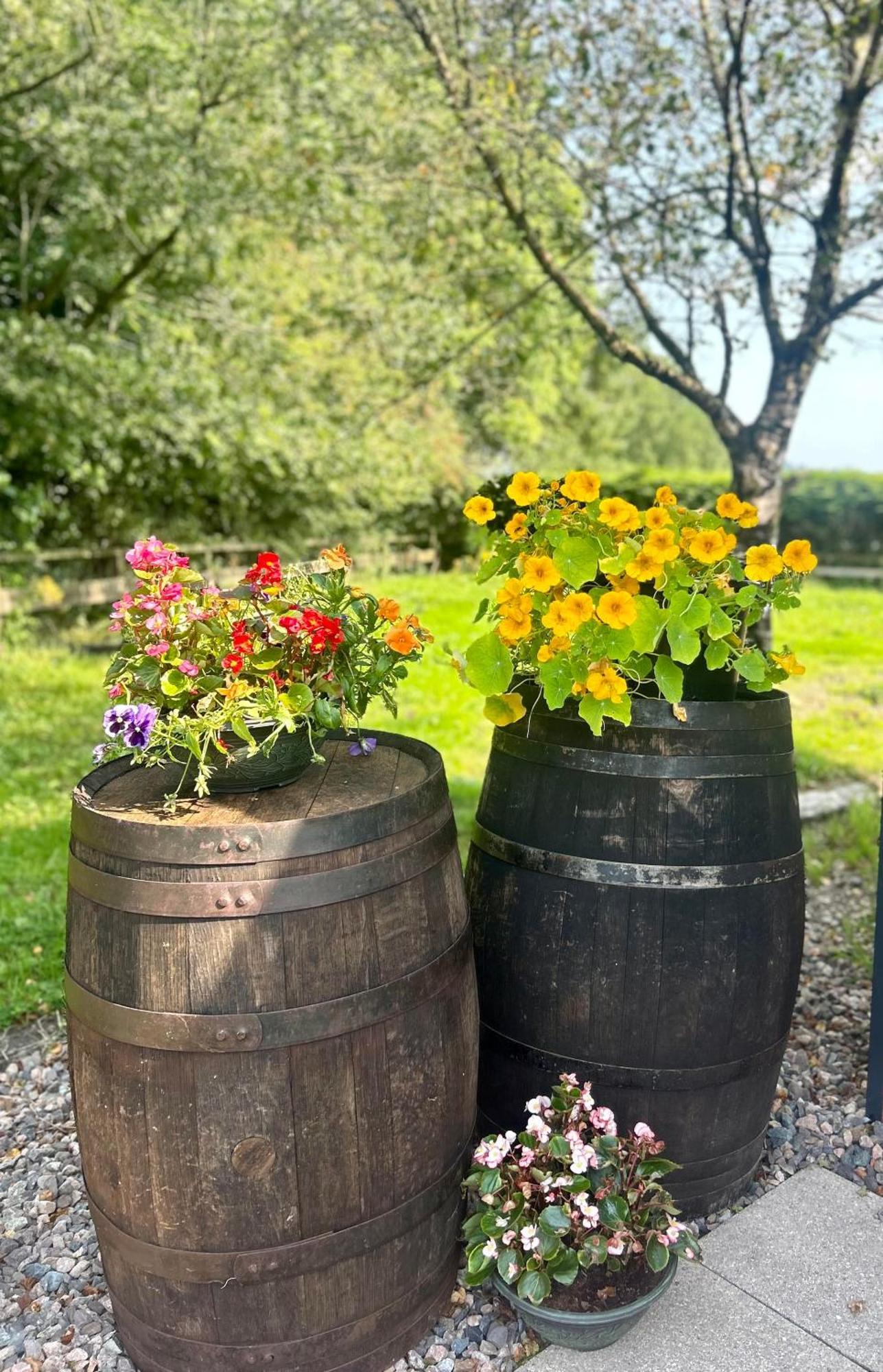 Casa vacanze Omagh